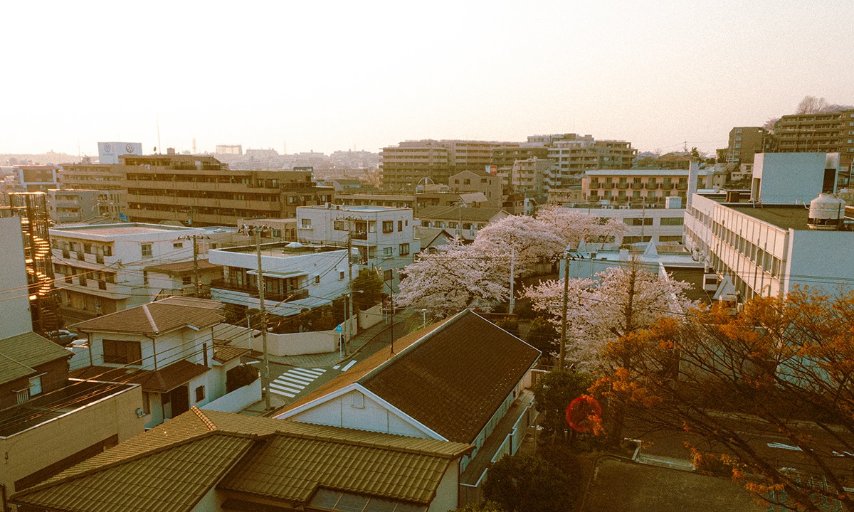 The neighborhood I lived in, at one time
