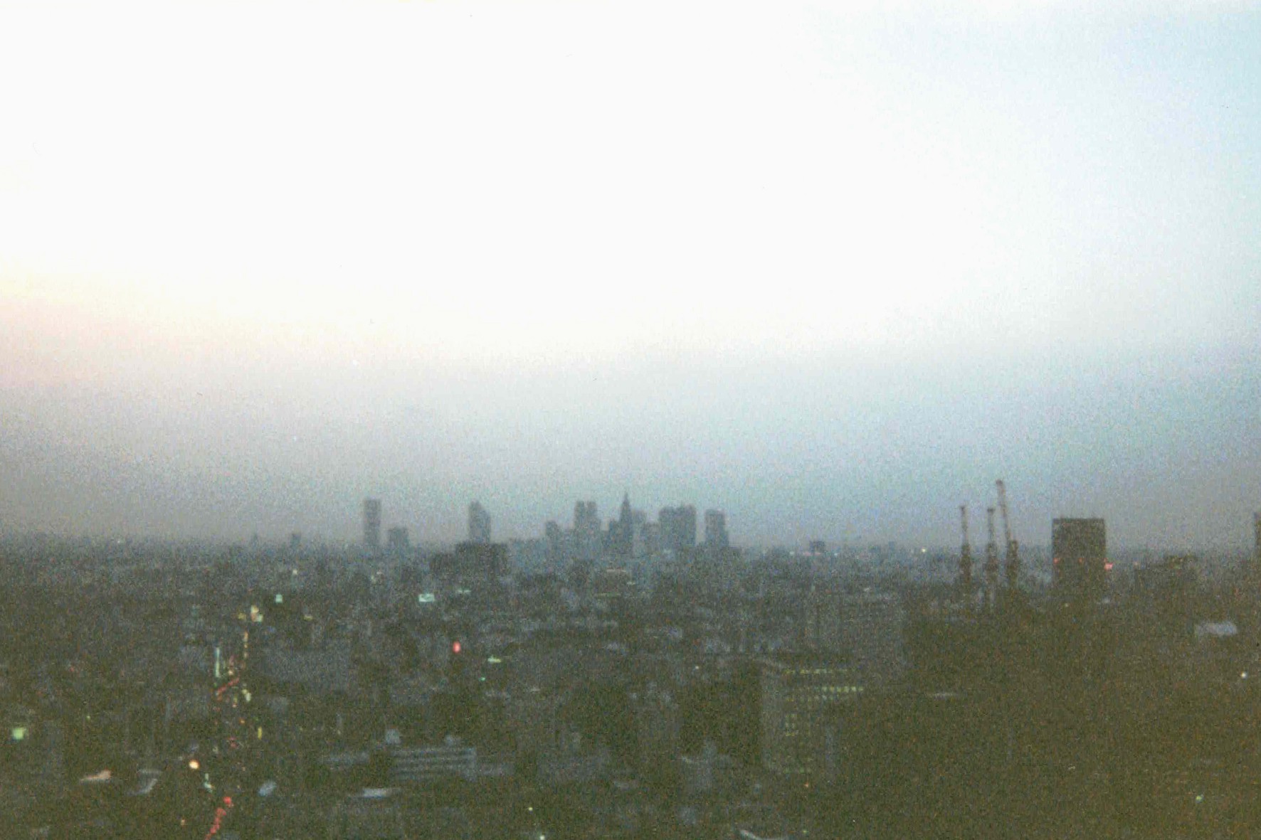 Shinjuku hazily on the horizon, the twin Tokyo Metropolitan Government towers are just visible, with the pointed NTT DoCoMo Yoyogi Building in front