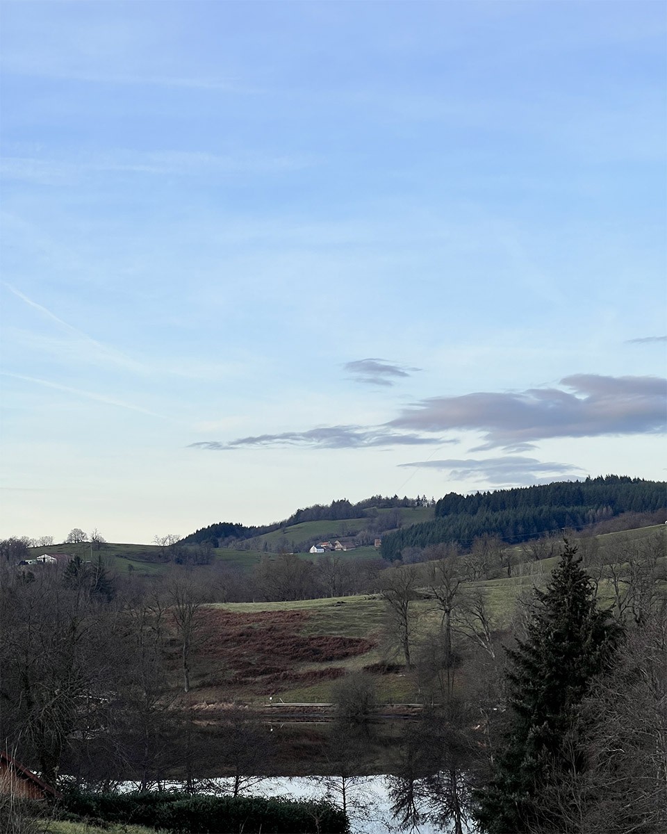 The Last Stroll of the Year - Photo 1