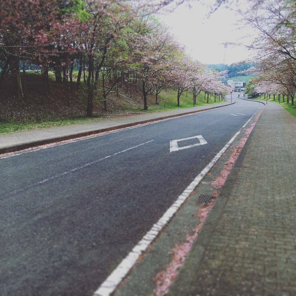 Keio University Shonan Fujisawa Campus